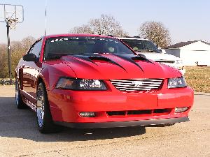 Mustang 003.jpg